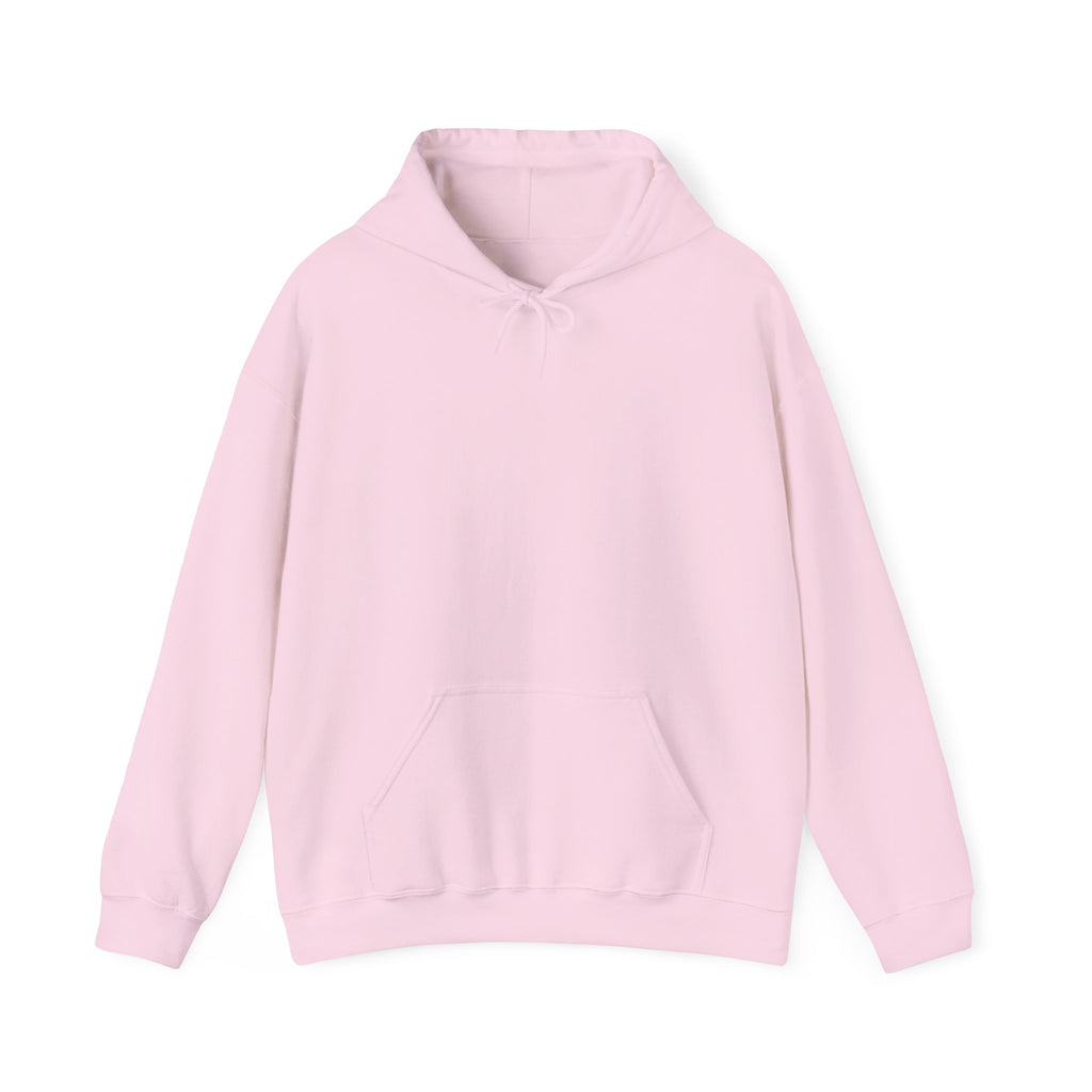 Sloth 'We Are Alike' Graphic Hoodie — Cute Cozy Animal Lover Sweatshirt